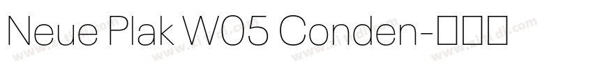 Neue Plak W05 Conden字体转换